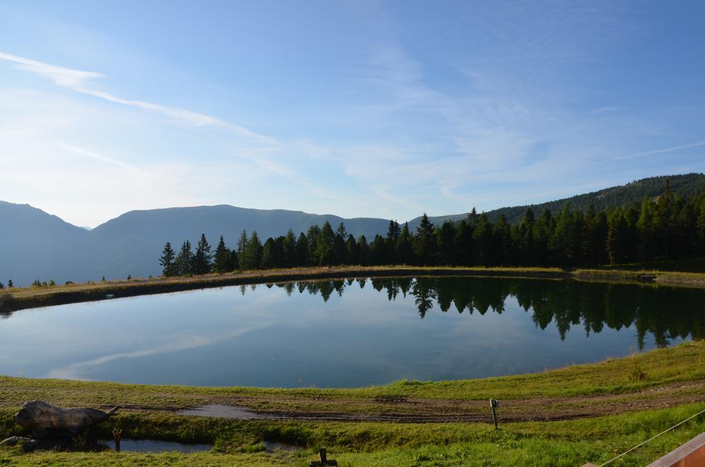 Gasthaus Rieglerhuette Sankt Lorenzen ob Murau Ruang foto
