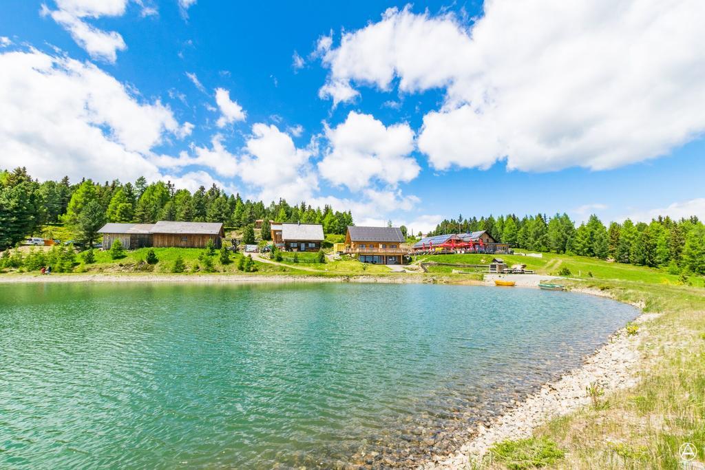 Gasthaus Rieglerhuette Sankt Lorenzen ob Murau Bagian luar foto